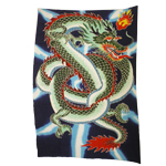 Par�o dragon vert et �clairs