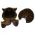Tortue Sumatra multicolore XXL