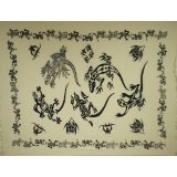 Sarong iwi salamandres