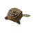 Tortue bois