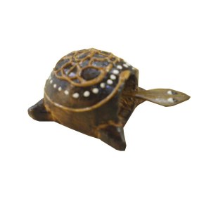 Tortue bois