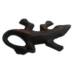 Salamandre naturelle XS