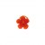Chouchou Tanakpur orange vif