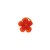 Chouchou Tanakpur orange vif