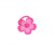 Chouchou Tanakpur rose