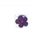 Chouchou Tanakpur violet