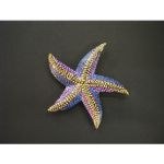 Magnet paintin étoile de mer