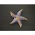 Magnet paintin étoile de mer