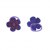 Chouchou Tanakpur violet