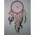 Dream catcher rose