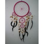 Dream catcher rose