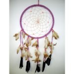 Dream catcher L parme
