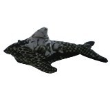 Ani thaï requin