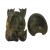 Tortue Sumba XL