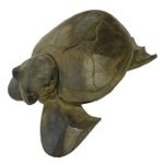 Tortue Sumba XL