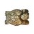Tortue Moluques XXXL