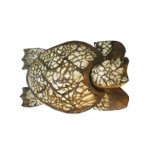 Tortue Moluques XXXL