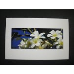 Carte postale les fleurs du temple