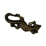 Salamandre marron tribale