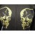 Veste femme cranium 