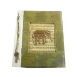 Album photos pachyderme