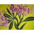 Paréo fleur frangipanier