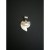 Pendentif dent de Requin Tigre