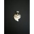 Pendentif dent de Requin Tigre