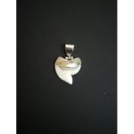 Pendentif dent de Requin Tigre