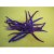 Chouchou laine bouillie violet