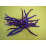 Chouchou laine bouillie violet