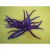 Chouchou laine bouillie violet