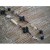 Sautoir fantaisie fleurs noires