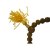 Bracelet mala rudraksha