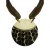 Collier Tarakan
