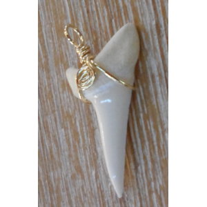 Pendentif dent de requin Mako