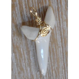 Pendentif dent de requin Mako