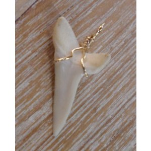 Pendentif dent de requin Mako