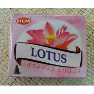 Cônes d'encens lotus