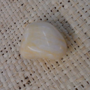 Agate camel