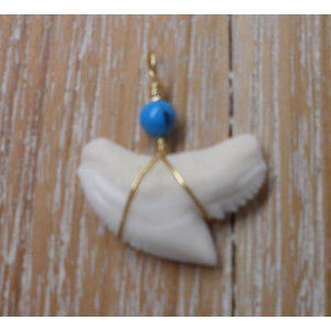 Pendentif dent de requin tigre 1 perle turquoise