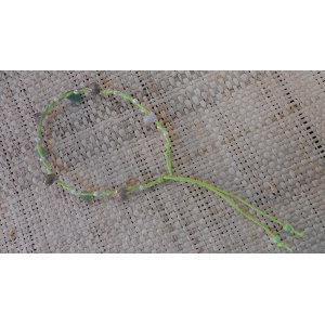 Bracelet de cheville vert pistache coquillages