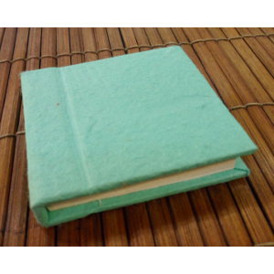 Mini carnet vert aqua