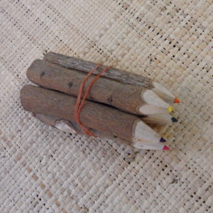 Crayons de couleurs branche
