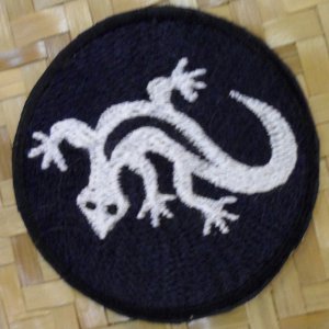 Patch salamandre blanche