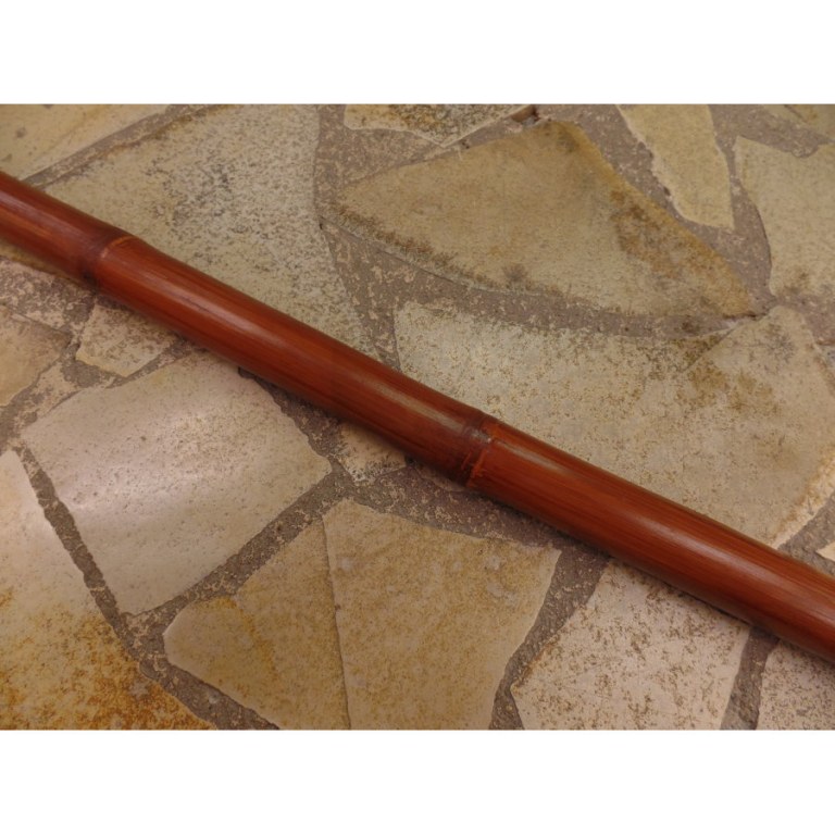 Didgeridoo bambou