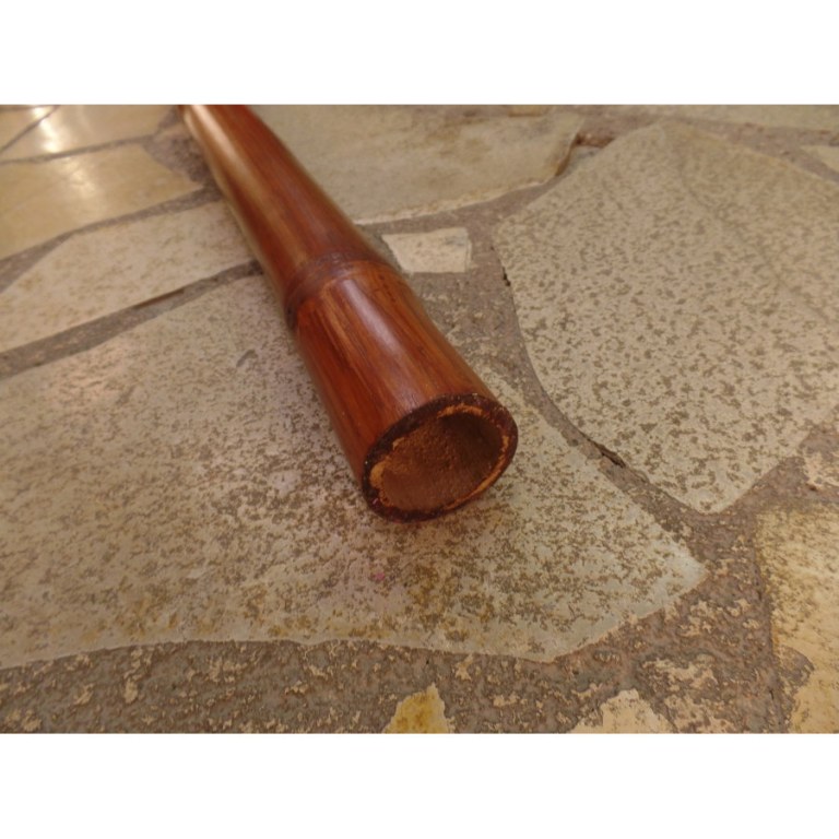 Didgeridoo bambou