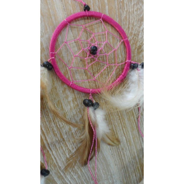 Dreamcatcher rose hawi