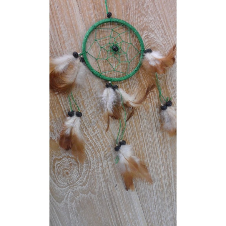 Dreamcatcher vert hawi