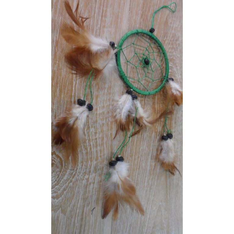 Dreamcatcher vert hawi